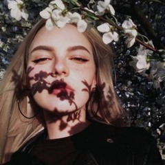 Даня Цуркан