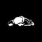 invalid_id
