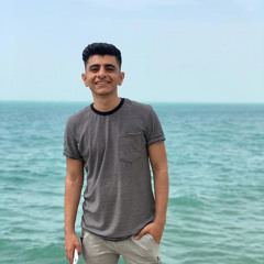 ali naziri