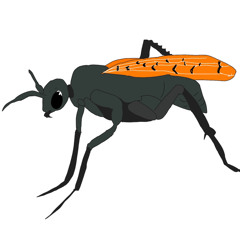 Pepsis BFSE