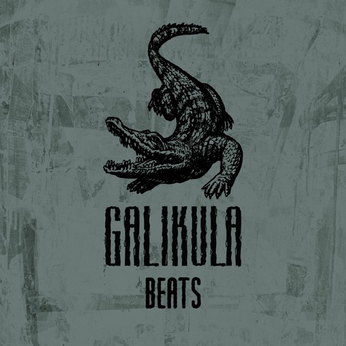 GALIKULA BEATS’s avatar
