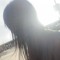 xlazyk