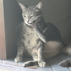 [Demon Slayer] Snakebite x Gurenge mashup