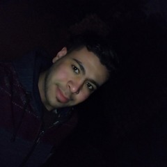 elsayed Alaa