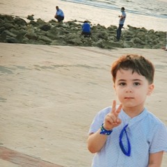 Raeed Al-jemmieh