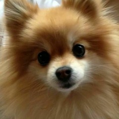 한