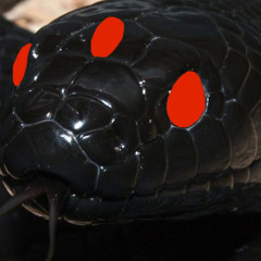 BLACKTRXVXNE
