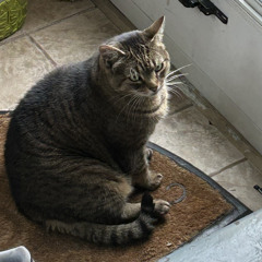 Clare