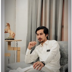 MOIZ BANGASH