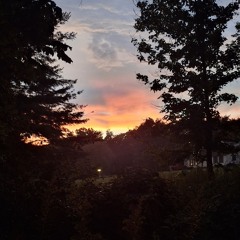 Rainier