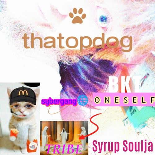 Syrup Soulja (@thatopdog)’s avatar