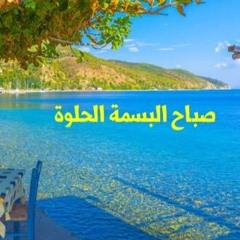 محمد نبيل