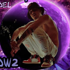 Malvdel SHDW2