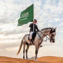 #دحه #الدحيه #شيلة دحة بني وايل