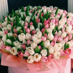 ٥٠١