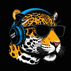 Jaguar Radio