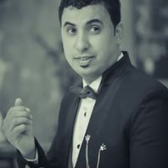 Amr Magdy Elharef