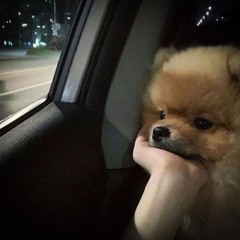 𝑊𝑎𝑛𝑔 𝐷𝑢̃𝑛𝑔 ʕ•̫͡•ʕ•̫͡•ʔ 💢