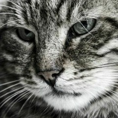 Linx
