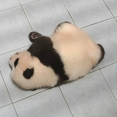Seio