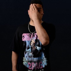 MOISES