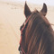 Ghadh