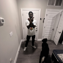 Papo🎰