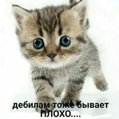 манконистка