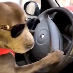 Booba - Petite Fille X SCH - La Nuit