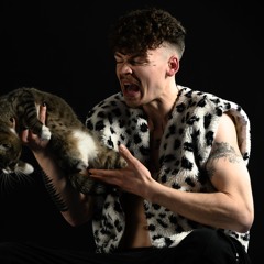 real.KittyPaw