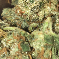 blubsy🥧