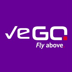 VEGO Consulting Group