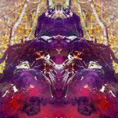 Human Alien Creation
