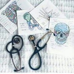 Hana H. Abd ELmaged