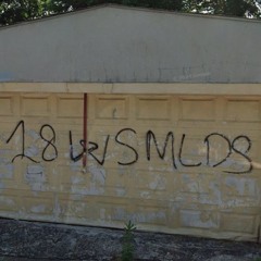 L1L TOK8R