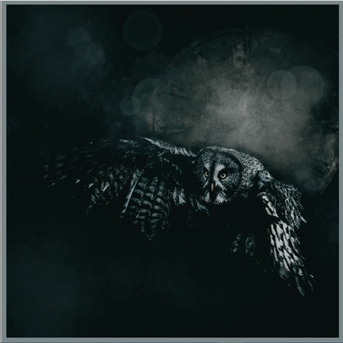 Stream kite_band music Listen to songs, albums, playlists for free on