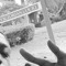Nizzy V