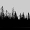 tree Nation