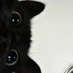 daisymkz