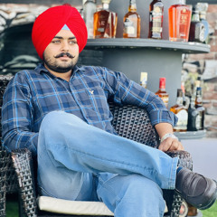 Bhullar PB 13