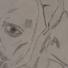 reverb nata/peso//berlin 555music