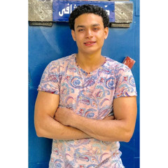 Ahmed Bekhit Mahmoud