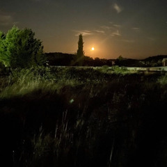 MusicLightInTheDark