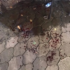 поклонение хдчзк