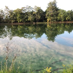 Daliskx