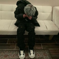 zelo1promPRO