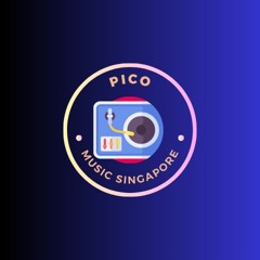 PICO " 笔鸽“ Bai Chi 白痴