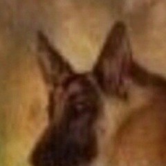 Name
