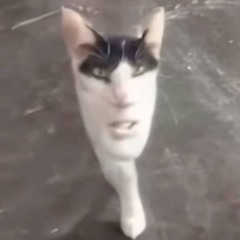 xzxzxz