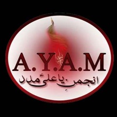 Anjuman E Ya Ali Madad